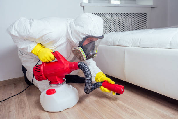 Professional Pest Control in Chatfield, MN